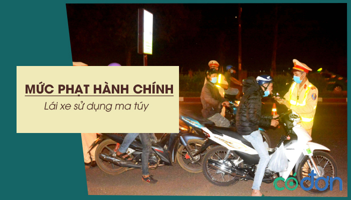 muc phat hanh chinh lai xe su dung ma tuy