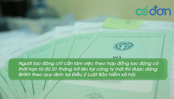 khong chot so bhxh o cong ty cu co duoc khong 3