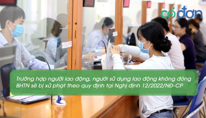 nhung doi tuong phai dong bao hiem that nghiep hien nay 3
