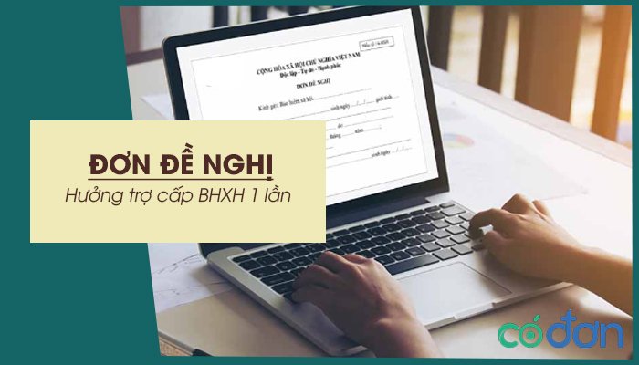 don de nghi huong tro cap bhxh 1 lan