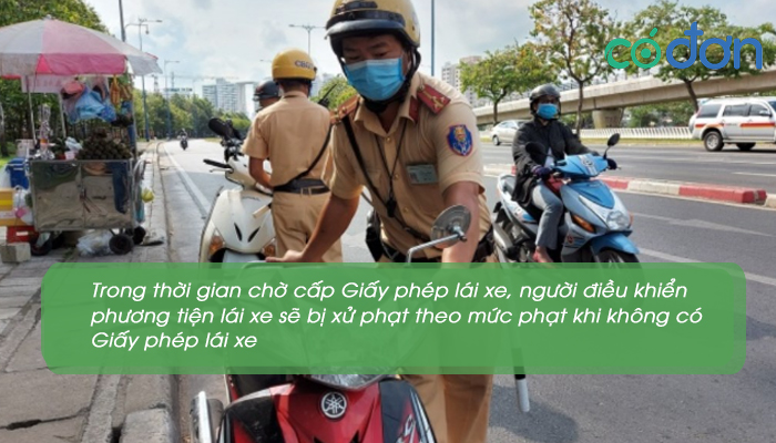 muc phat khi quen mang hoac khong co giay phep lai xe 3