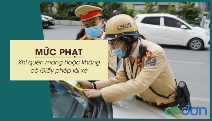 muc phat khi quen mang hoac khong co giay phep lai xe