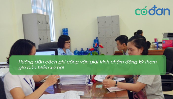 cong van giai trinh ve viec cham dang ky bhxh 4