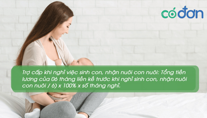 dong bhxh bao lau thi duoc huong che do thai san 3