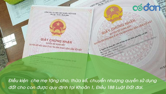 nhung dieu can luu y khi sang ten so do cho con 2