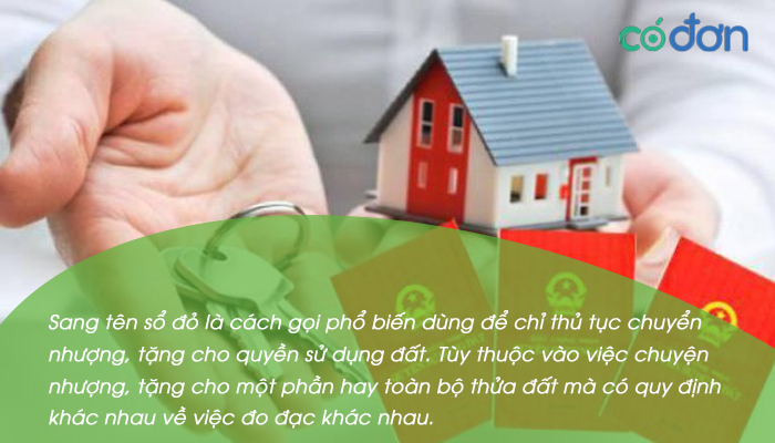 sang ten so do co bat buoc do dac lai khong 2