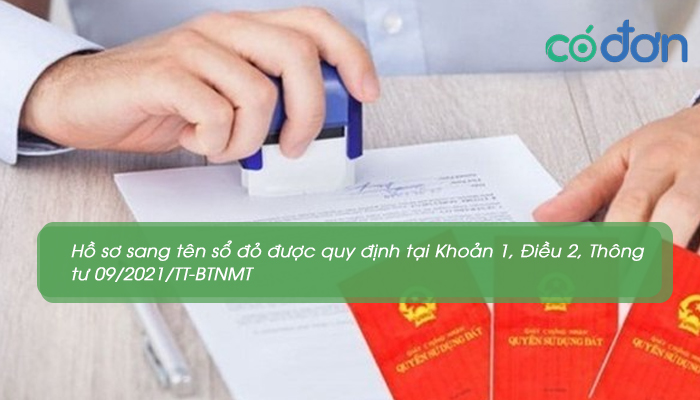 sang ten so do co bat buoc do dac lai khong 3