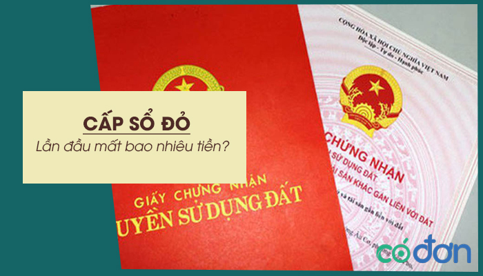 cap so do lan dau mat bao nhieu tien