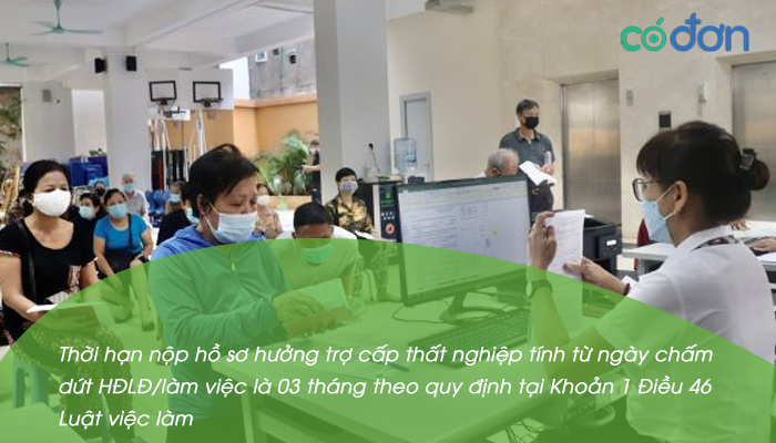thoi gian giai quyet huong bao hiem that nghiep 2
