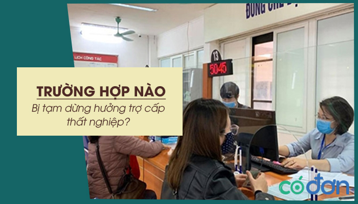 truong hop nao bi tam dung huong tro cap that nghiep