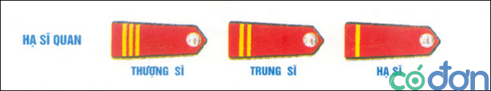 he thong cap bac quan ham trong quan doi 5