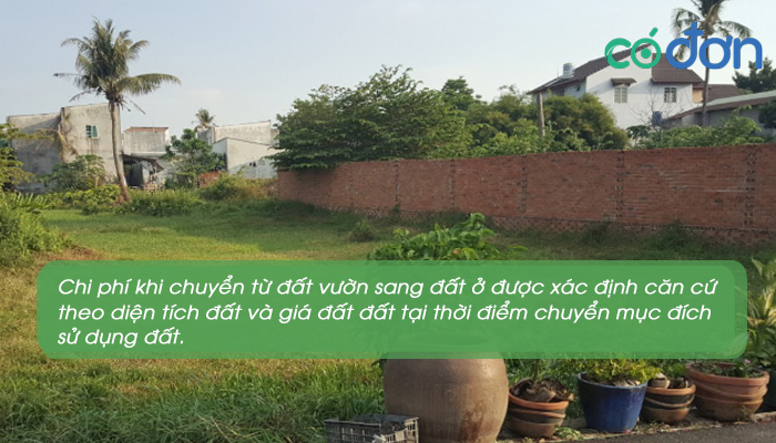 chuyen dat vuon thanh dat tho cu nhung van de can luu y 3