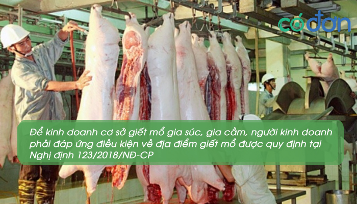 dieu kien kinh doanh co so giet mo gia suc gia cam 3