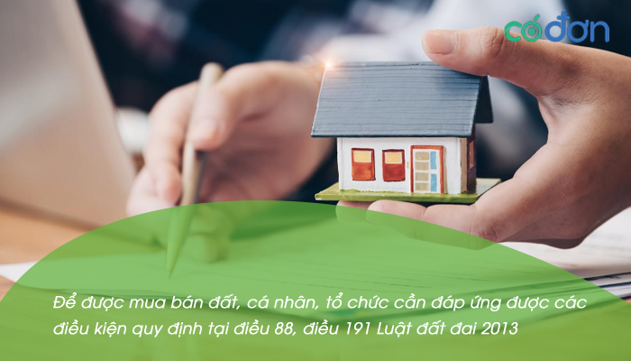 khong co so ho khau co mua duoc dat khong 2