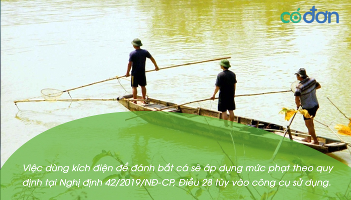 danh bat ca bang dien xu phat nhu the nao 2