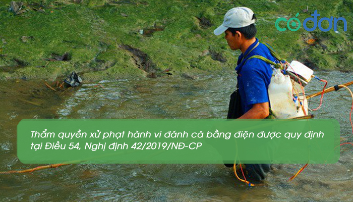 danh bat ca bang dien xu phat nhu the nao 3