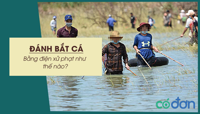 danh bat ca bang dien xu phat nhu the nao