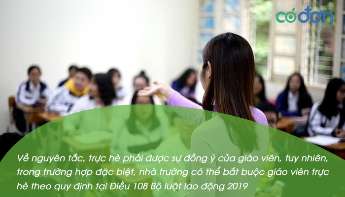 giao vien co phai truc he khong che do truc he cua giao vien 2