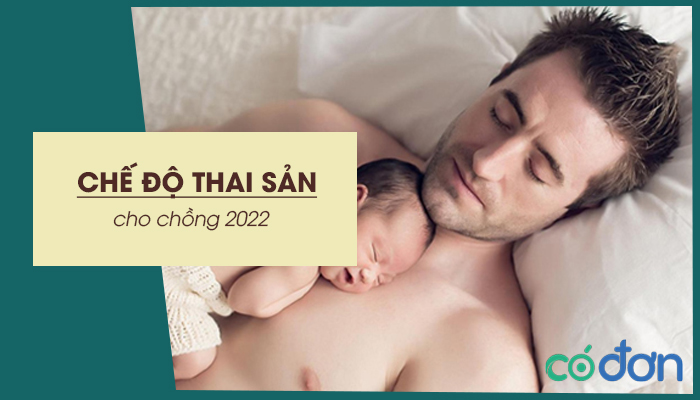 che do thai san cho chong 2022
