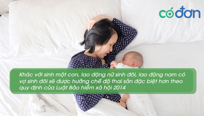 che do thai san khi sinh mo khi sinh doi 3