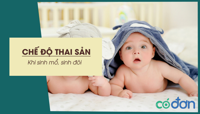 che do thai san khi sinh mo khi sinh doi