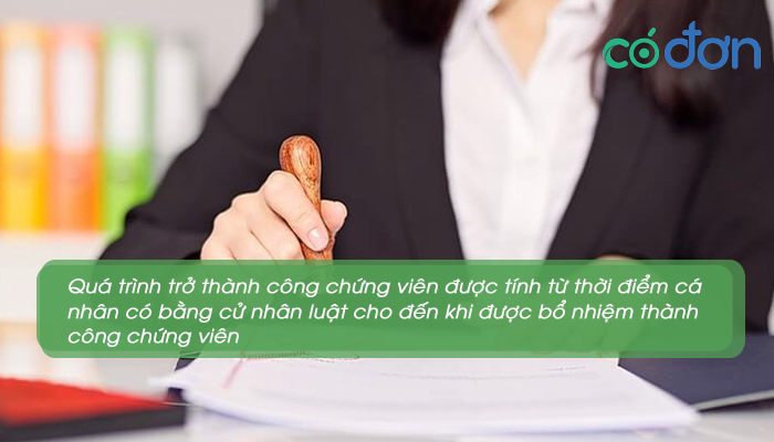 cong chung vien la gi tieu chuan tro thanh cong chung vien 3