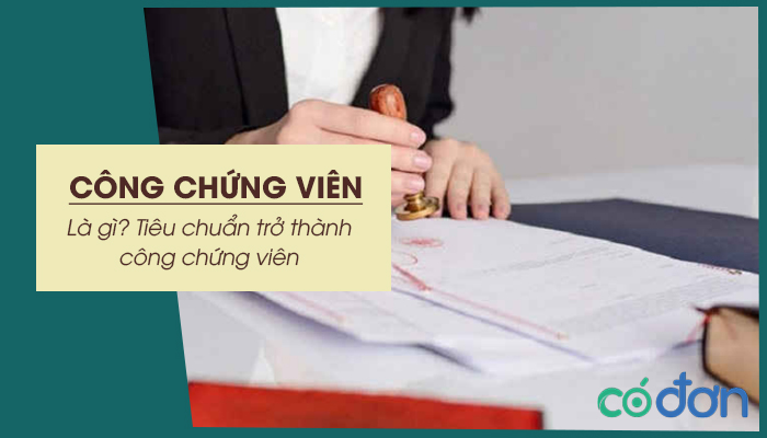 cong chung vien la gi tieu chuan tro thanh cong chung vien