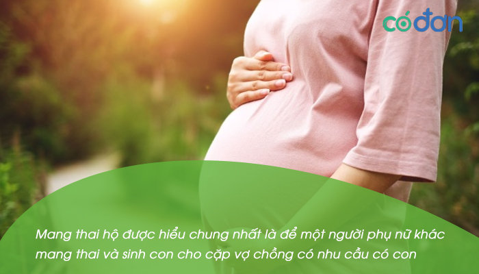 mang thai ho la gi dieu kien mang thai ho 2
