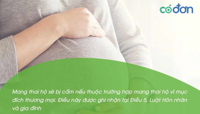 mang thai ho vi muc dich thuong mai co di tu khong 2