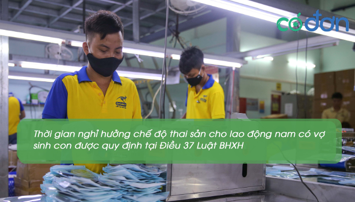 thoi gian dong bhxh de duoc huong che do thai san doi voi nam 3