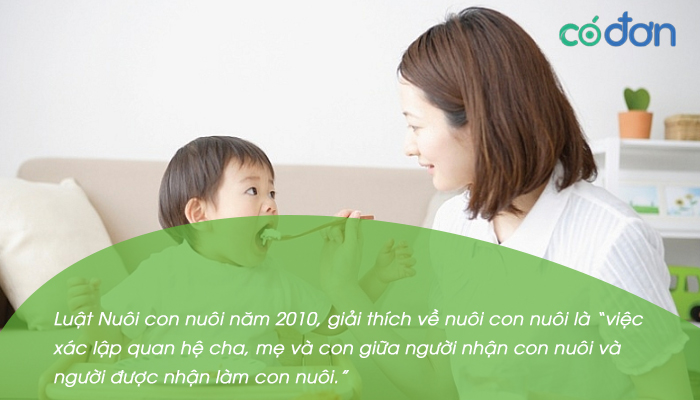 dieu kien nuoi con nuoi moi nhat 2