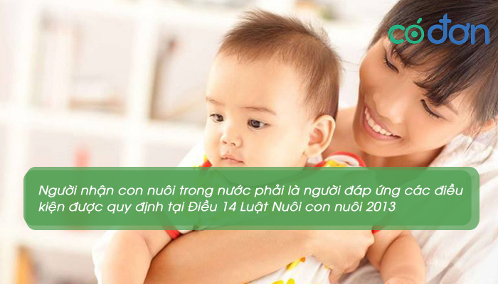 dieu kien nuoi con nuoi moi nhat 3