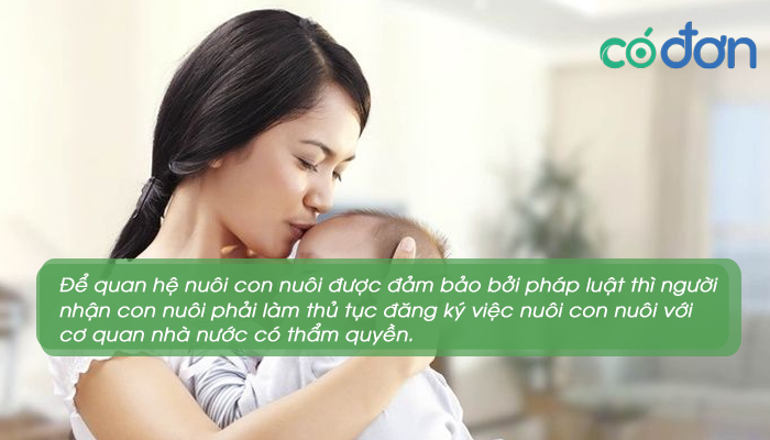 dieu kien nuoi con nuoi moi nhat 4
