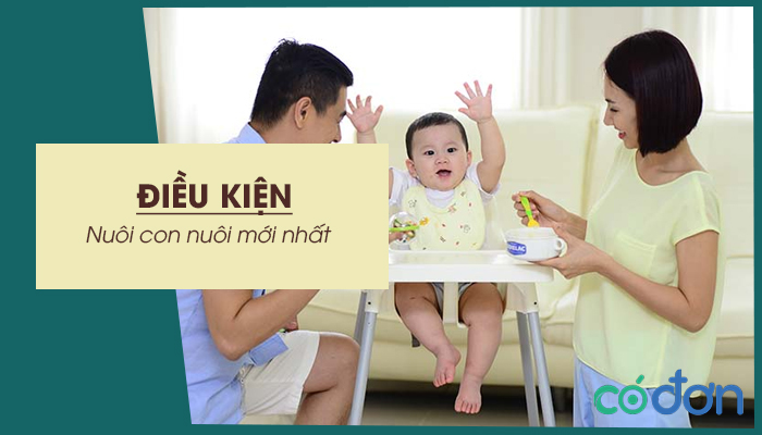 dieu kien nuoi con nuoi moi nhat
