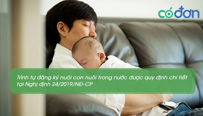 thu tuc dang ky nuoi con nuoi trong nuoc 3